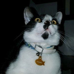 Meet your Posher, Vanessa